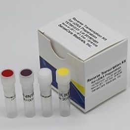 kit de reactivos para secuenciación de Sanger