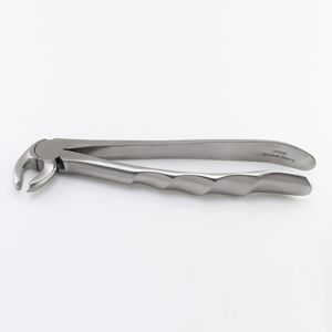fórceps de extracción dental para molares inferiores