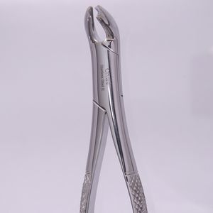 fórceps de extracción para raíz dental 1