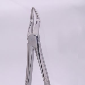 fórceps de extracción dental para raíz dental