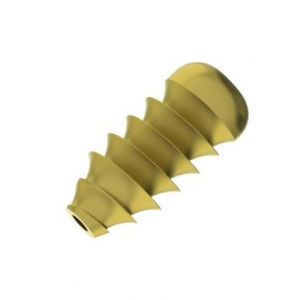 tornillo interferencial ligamentos cruzados 1