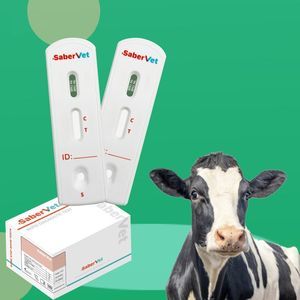 prueba rápida de brucelosis 1