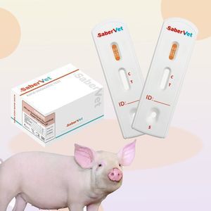 prueba rápida para enfermermedades infecciosas 1
