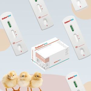 prueba rápida para enfermermedades infecciosas 1
