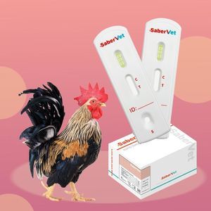 prueba rápida para enfermermedades infecciosas 1