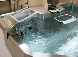 bañera de hidromasaje con ducha