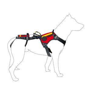 arnés veterinario