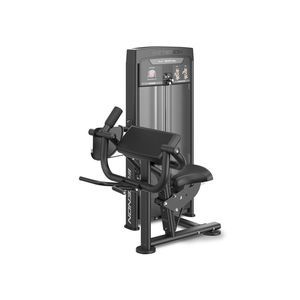 máquina de musculación curl de brazos 1