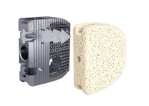 caja intersomática cervical 1