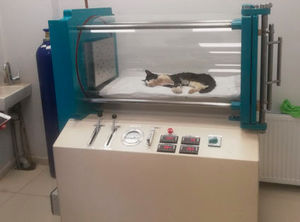 cámara hiperbárica veterinaria móvil