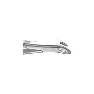 fórceps de extracción dental veterinario 1