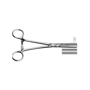 pinza veterinaria