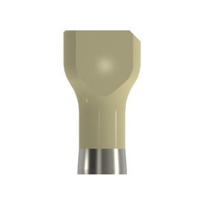 cuerpo de exploración intraoral