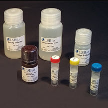 kit de prueba ALT 1