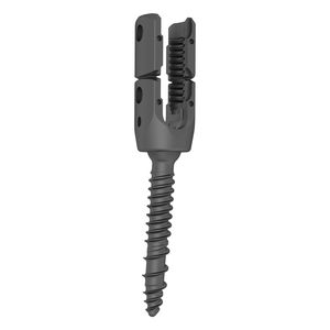 tornillo pedicular toracolumbar 1