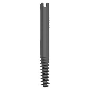 tornillo de compresión ósea para fémur 1
