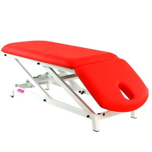 mesa de reconocimiento de fisioterapia 1