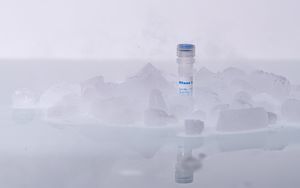 reactivo inhibidor de RNasa