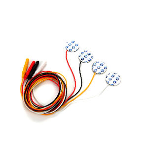 electrodo para exploración electrofisiológica