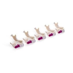 material dental de resina