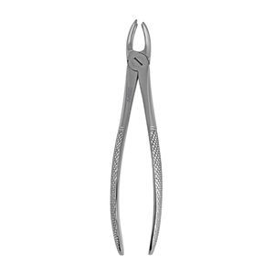 pinza dental