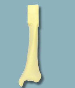 modelo anatómico de tibia