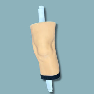 modelo anatómico de rodilla