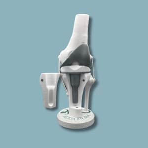modelo anatómico de rodilla