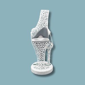 modelo anatómico de rodilla