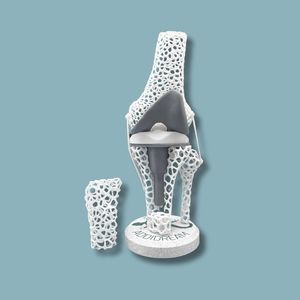 modelo anatómico de rodilla