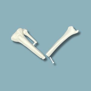 modelo anatómico de tibia