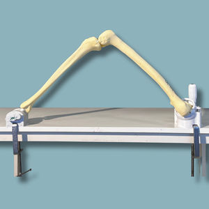 modelo anatómico de rodilla