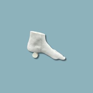 modelo anatómico de rodilla