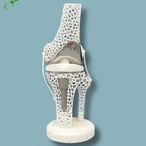 modelo anatómico de rodilla