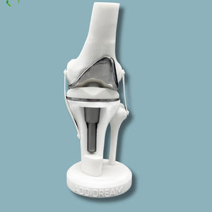 modelo anatómico de fémur