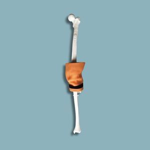 módulo de simulación de artroscopia