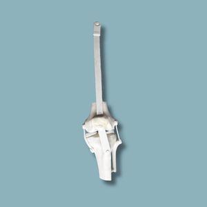 modelo anatómico de rodilla