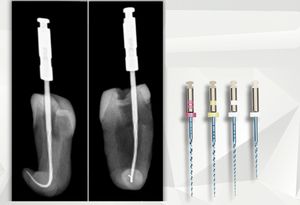 lima dental rotativa
