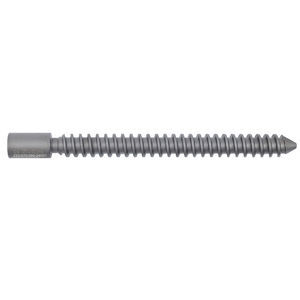 tornillo de compresión ósea para fémur 1