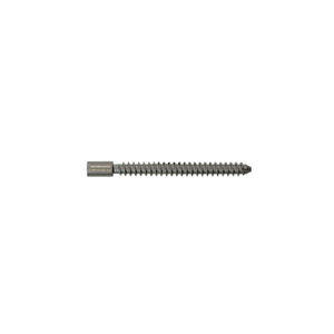 tornillo de compresión ósea para fémur 1