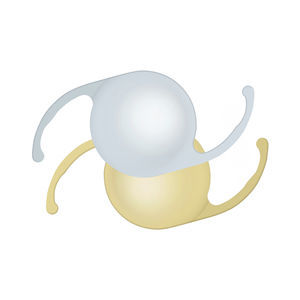 lente intraocular monofocal