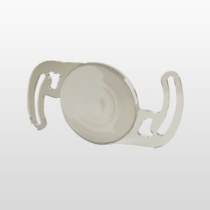 lente intraocular multifocal 1