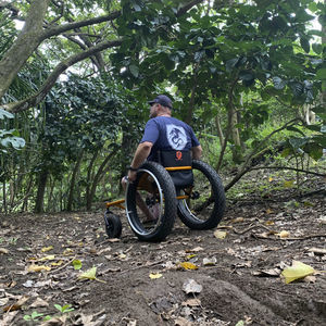 silla de ruedas activa