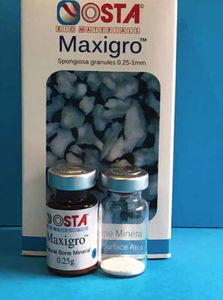 sustituto óseo xenotransplante 1