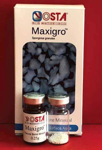 sustituto óseo xenotransplante 1