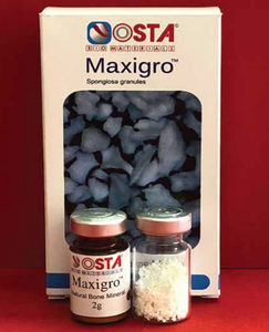 sustituto óseo xenotransplante 1