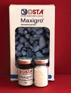 sustituto óseo xenotransplante 1