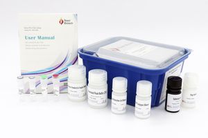 kit de prueba de estradiol