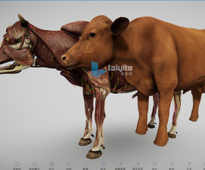 software de simulación 1