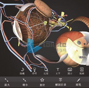 software de visualización